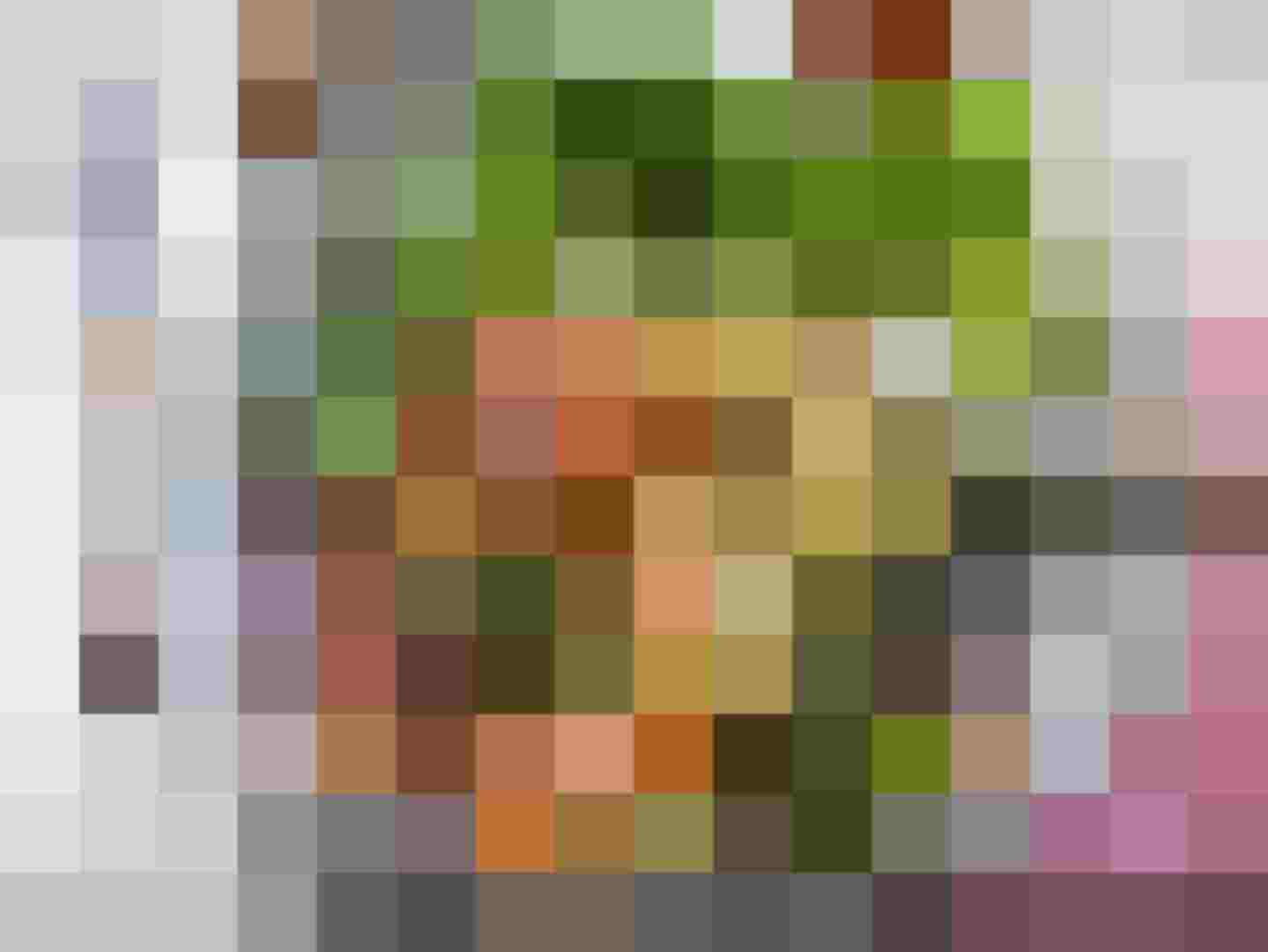 Forellenkrapferl