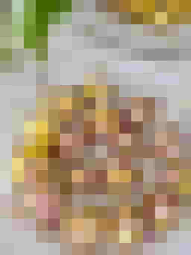 Frischkäsekugeln in bunten Blütenblättern auf einer weißen Servierplatte.