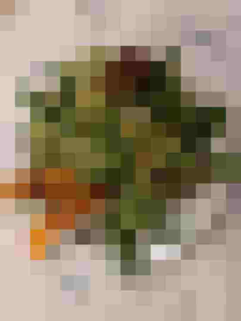 Wildkräuter und Honig