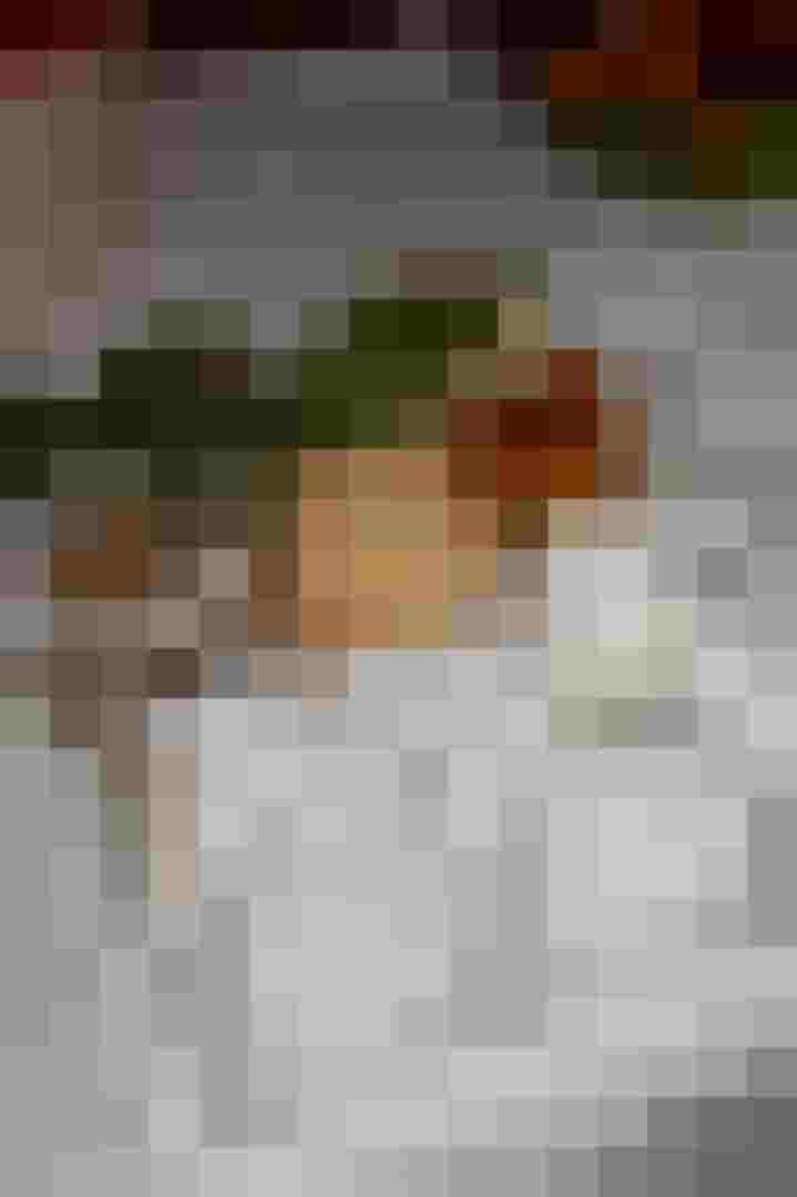 Joghurt, Topfen und Käse