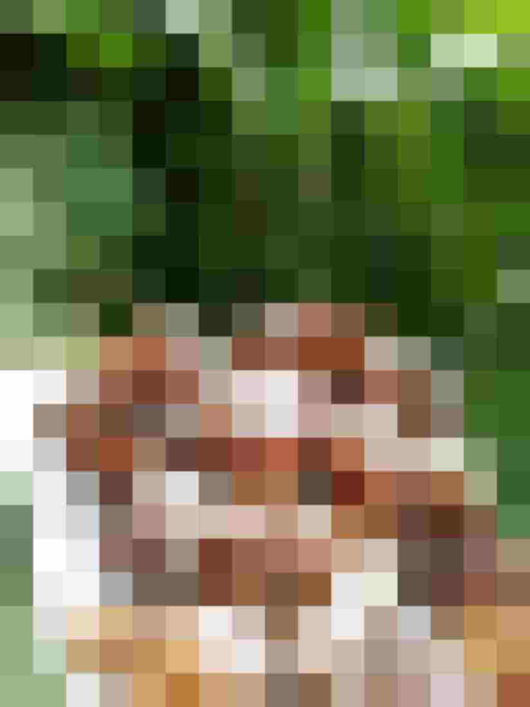 gebackene Mäuse (Vögerl) mit Rhabarberkompott
