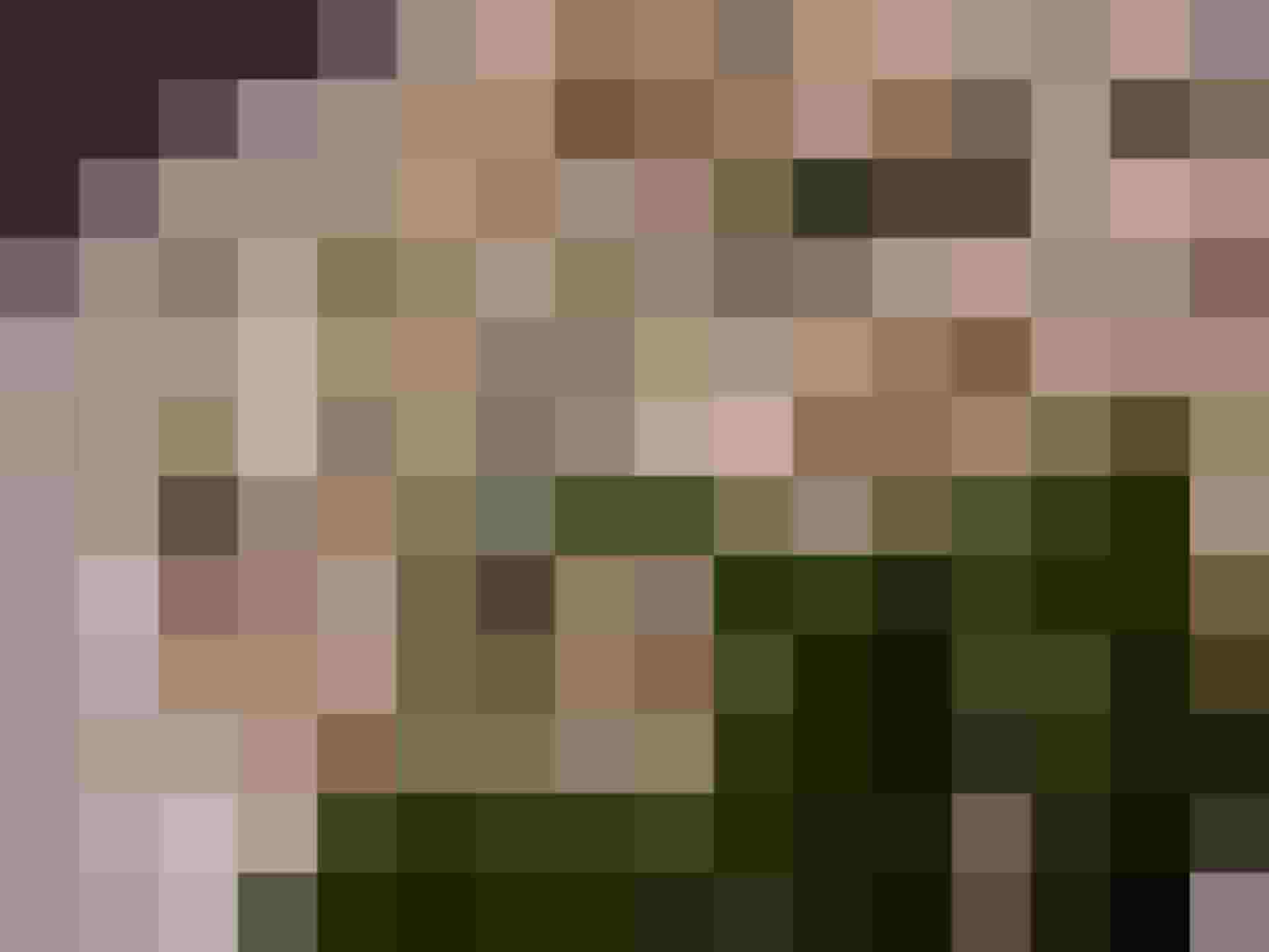 Zupfbrot