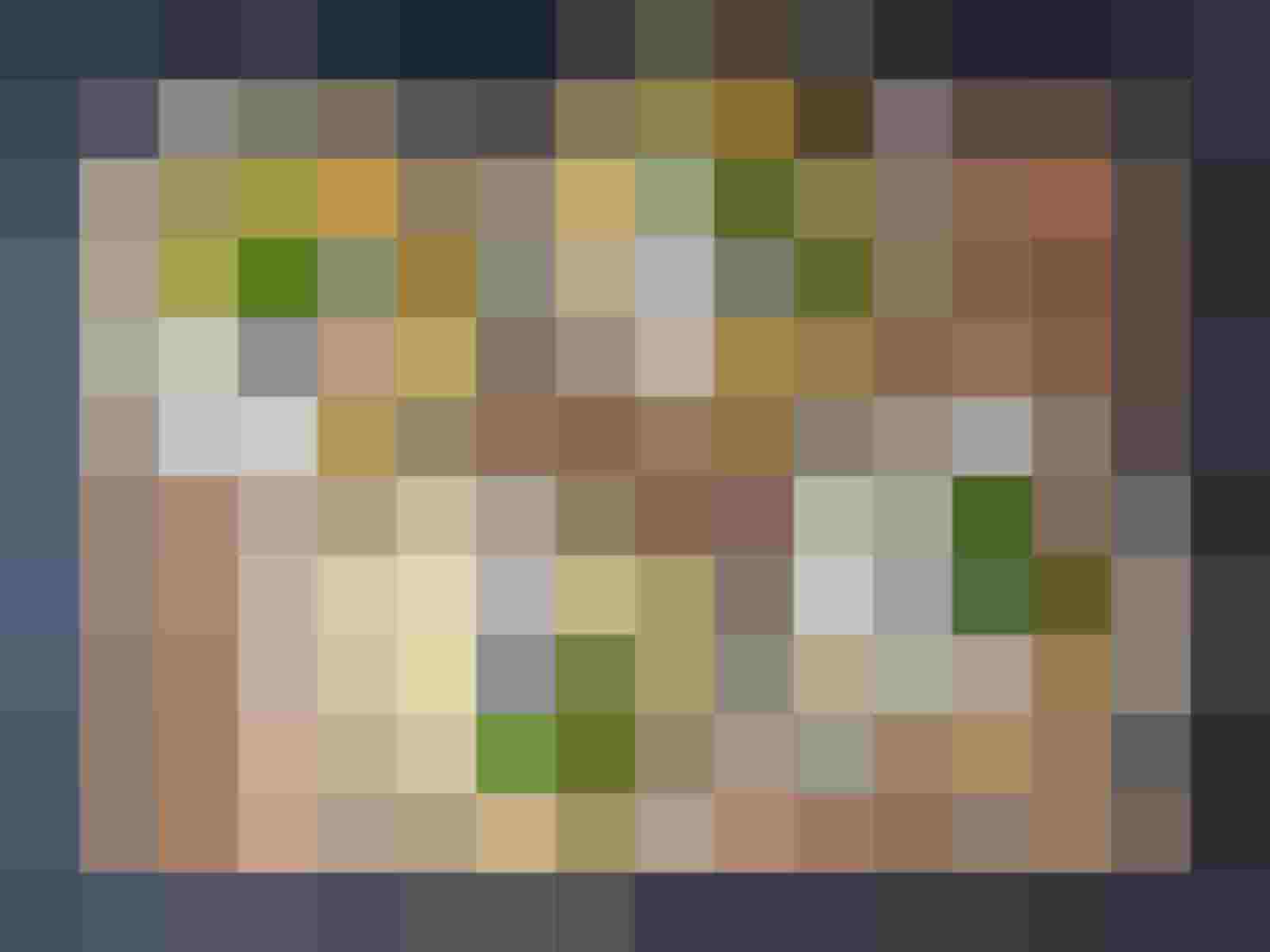 G'schmackig, oafoch und g'sund! Diätküche für den Alltag!