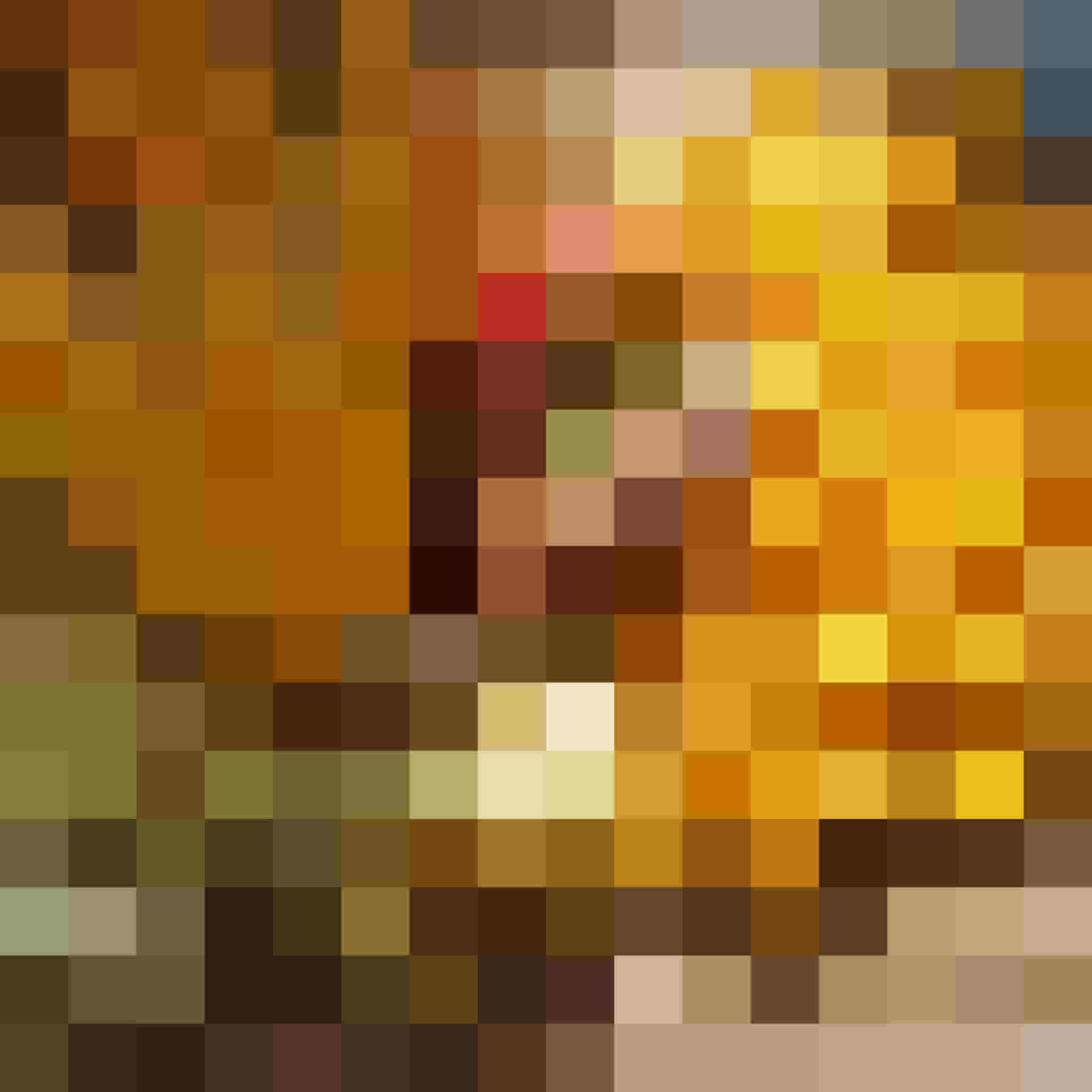 Kürbis - der Alleskönner!