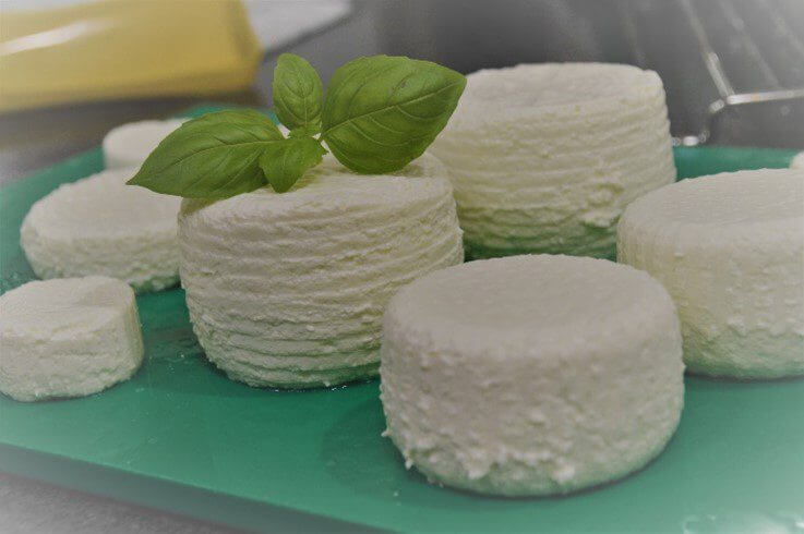 Milchverarbeitung im Haushalt