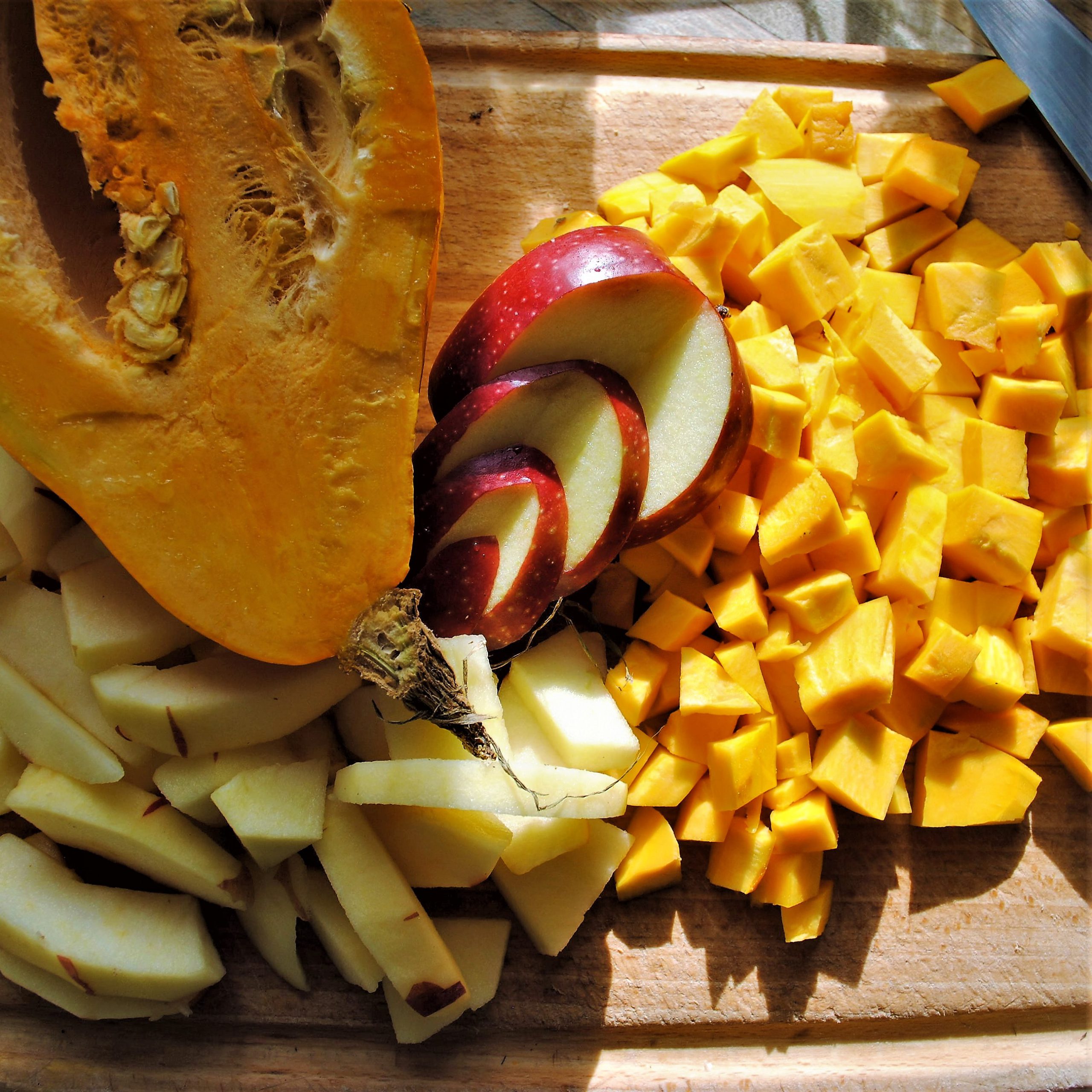 Kürbis - der Alleskönner!